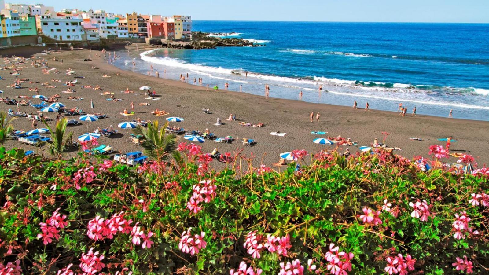 Apartment Eva Puerto de la Cruz (Tenerife)